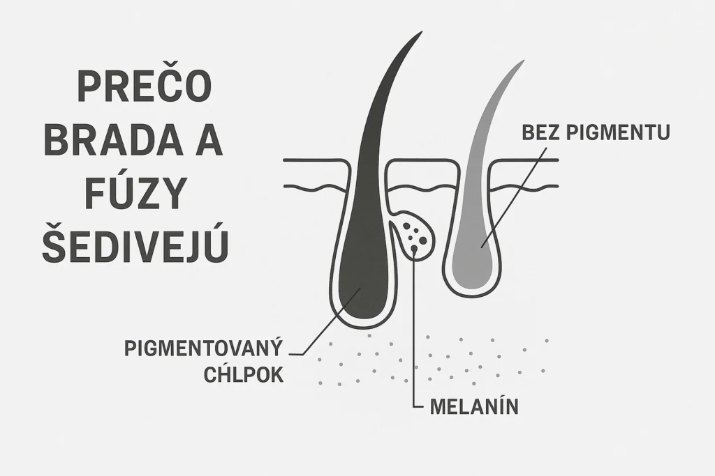 Ako vznikajú šediny na brade a fúzoch