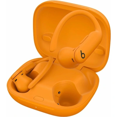 Beats Powerbeats Pro 2