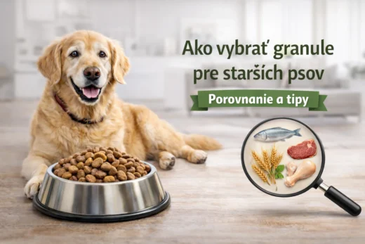 Ako vybrať granule pre starších psov (seniorov)